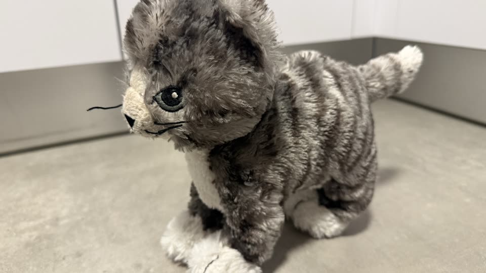 תמונת רפרנס של מאו הבובה